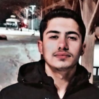 E. Arslan